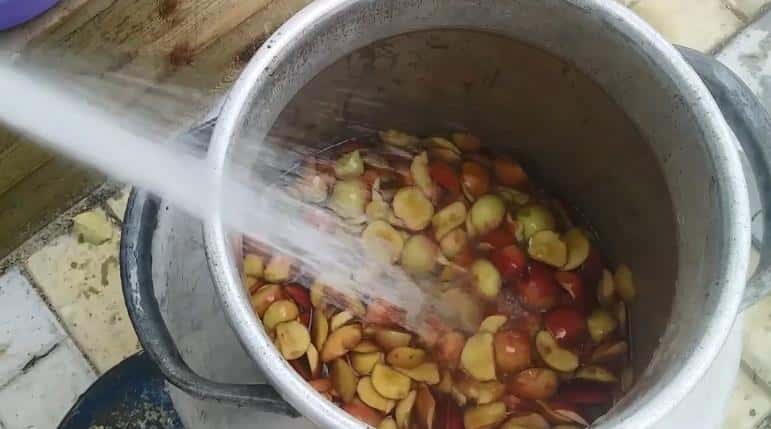 a7b1ee9469ba2dc914215437d0361016