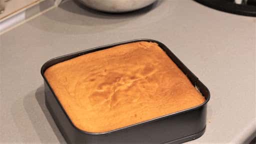 Торт "Білий лев" - дуже смачний рецепт приготування з покроковим фото