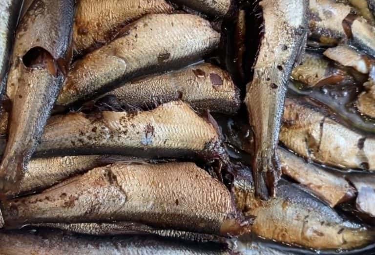 screenshot 20220319 211544 chrome