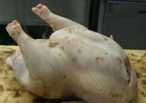 Домашня тушонка з індички в духовці - дуже смачний рецепт перевірений роками