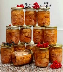 Домашня тушонка з індички в духовці - дуже смачний рецепт перевірений роками