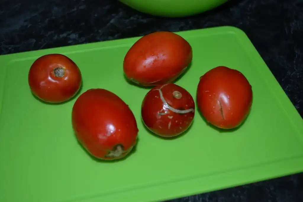 Домашній томат "На наступний рік": без солі, цукру і оцту