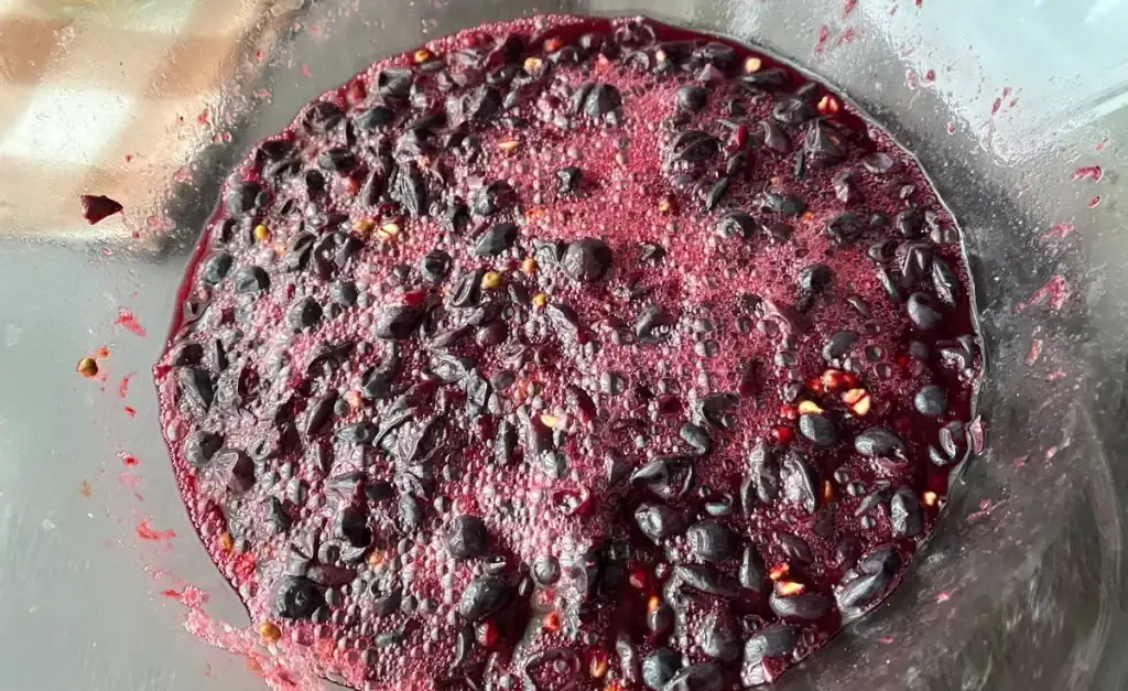 Вино з винограду в домашніх умовах: ділюсь своїм рецептом