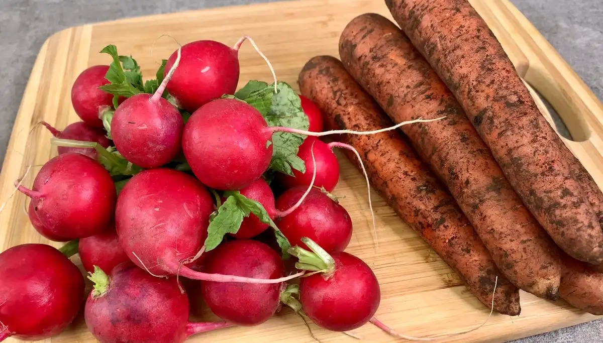 Салат з редьки і моркви по-корейськи: смачний рецепт на зиму