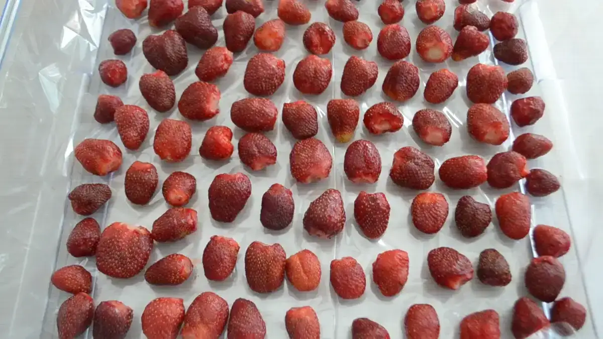 Замороження полуниці на зиму: найкращі 5 способів, взимку буде як свіжа
