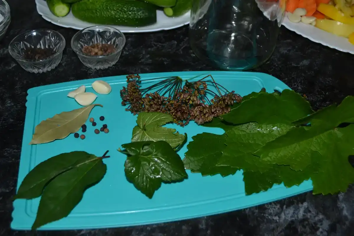 Мариновані хрусткі огірочки на зиму: смачний рецепт з виноградним листям, який не розчарує