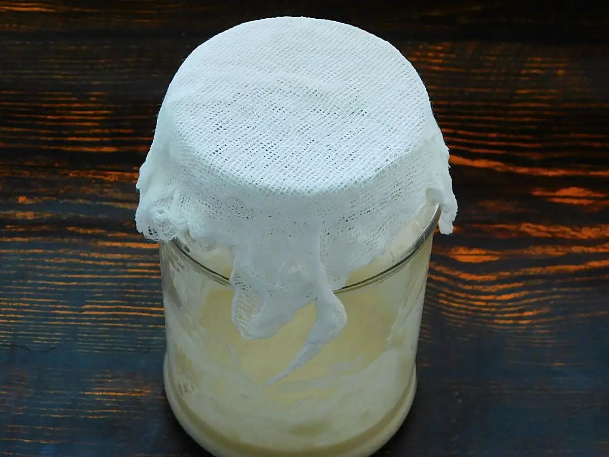 "Вічна закваска" для хліба замість дріжджів: смак хліба неймовірний