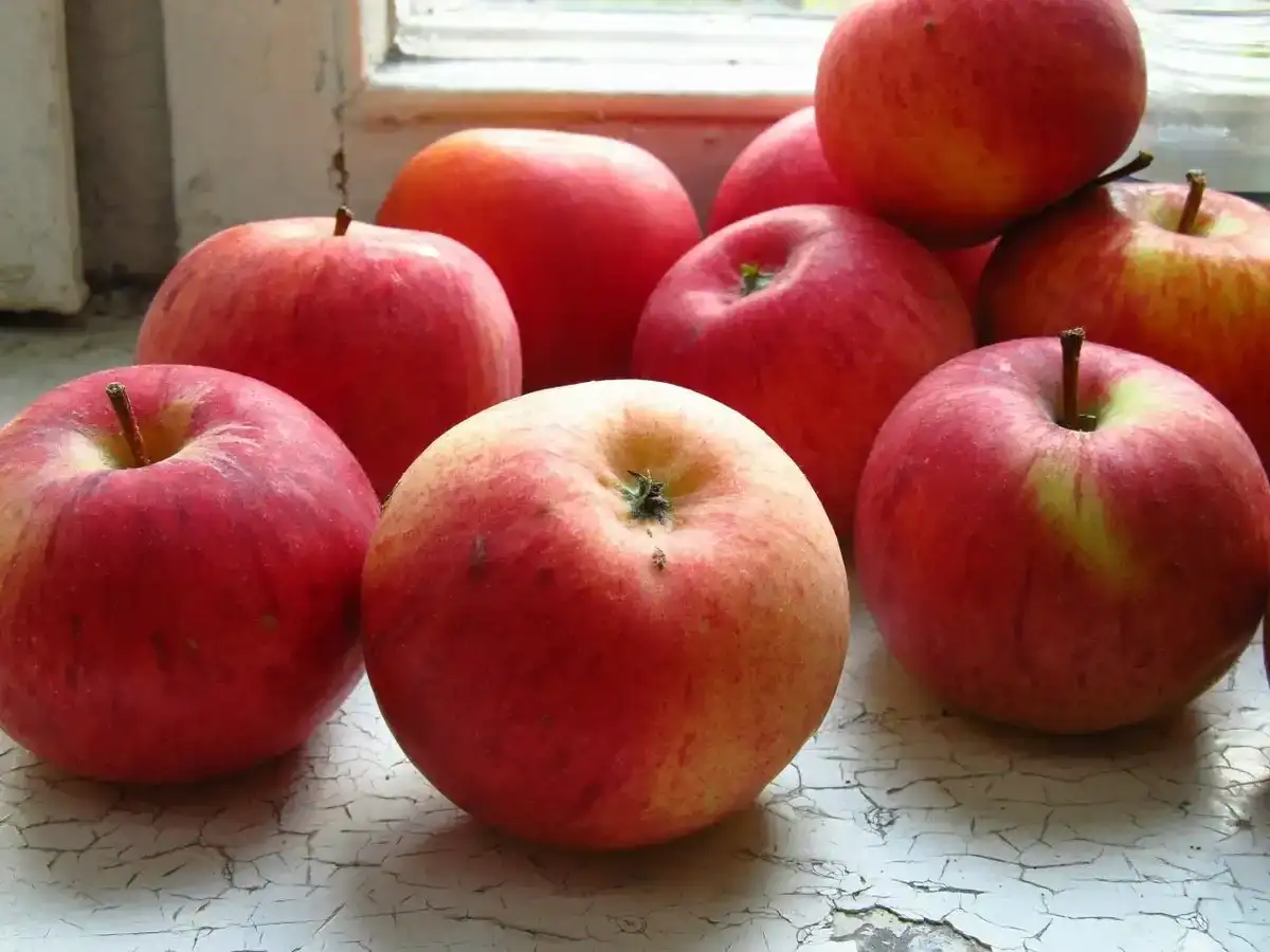 Рецепт пюре з яблук без цукру на зиму: для малюків