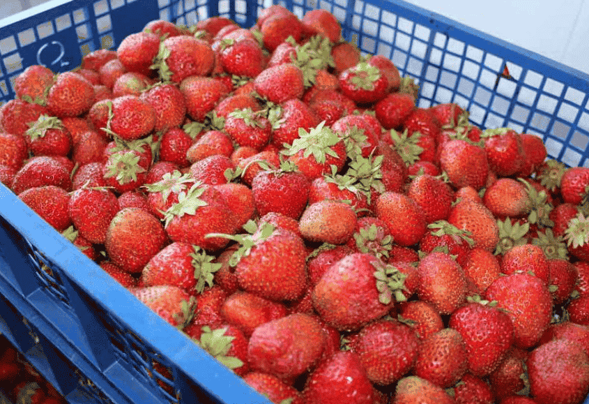 Полунично-бананове варення: дуже смачний рецепт, діти його обожнюють
