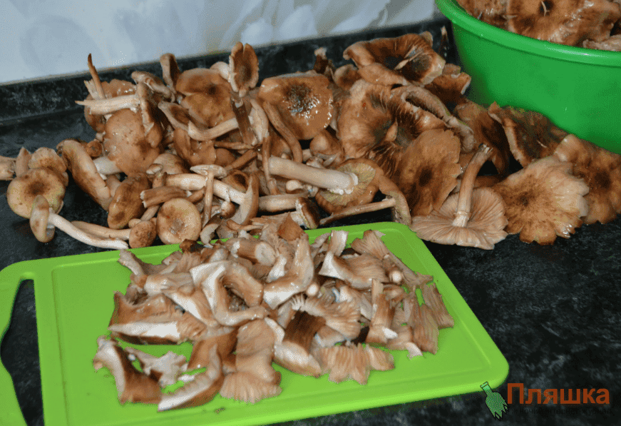 Грибна ікра на зиму: просто, але дуже смачно (так готують вже всі мої знайомі)