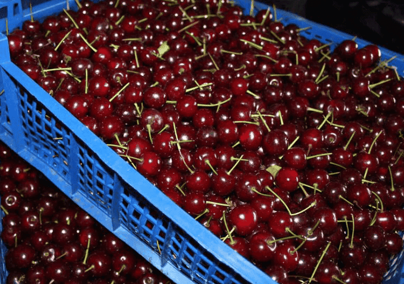 Варення "Вишня в шоколаді" на зиму: неймовірно смачний рецепт