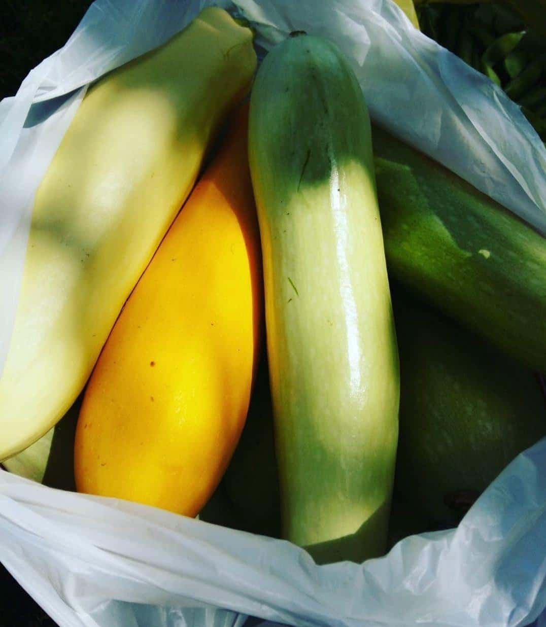 Мариновані кабачки з "прорідженою" морквою із бадиллям на зиму: шикарний рецепт, обов'язково спробуйте