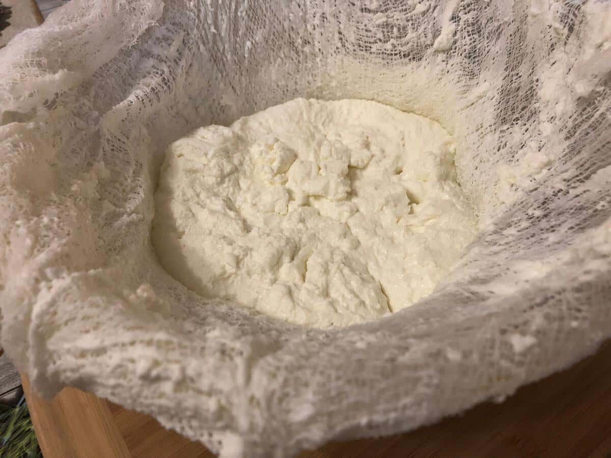 7291a6549e66dad26019dc174698d8a5