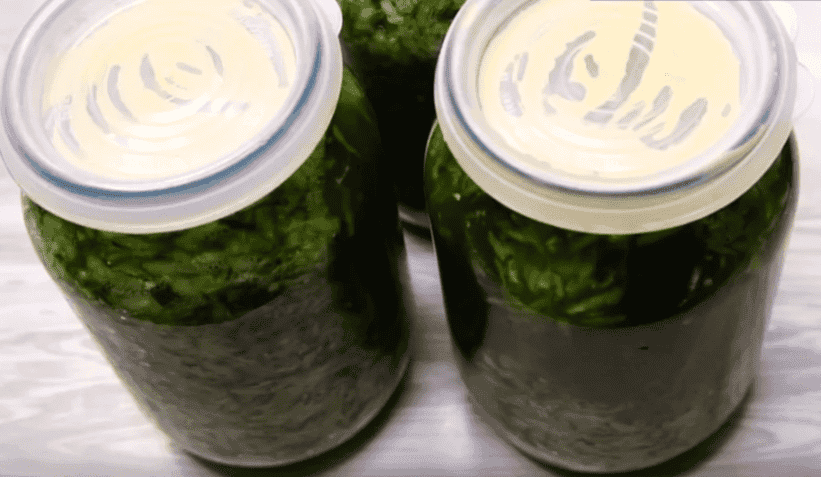 Солоні огірки у власному соку: рецепт без оцту та стерилізації на зиму