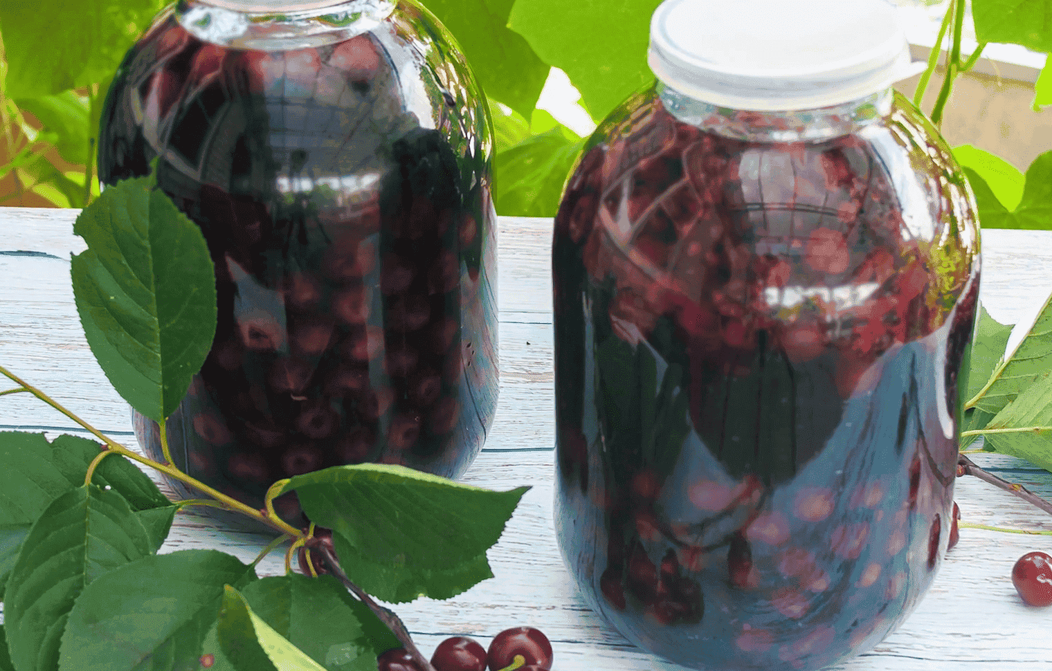 "Вишнева наливка": найпростіший рецепт домашньої настойки з вишні на горілці