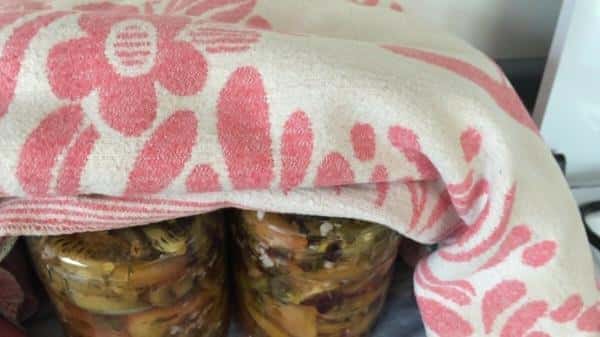 11bb42a606a8f898ff4bfd58c09d0e25