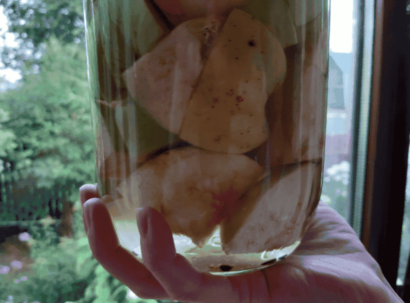 Домашня настойка на яблуках "Антонівка": 3 простих рецепти, як зробити напій смачнішим і ароматнішим, ділюсь з Вами