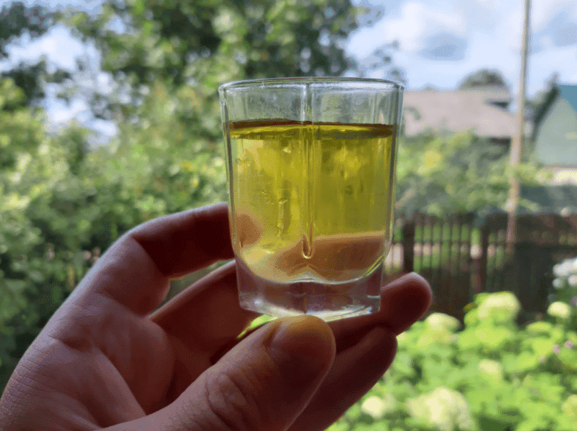 Домашня настойка на яблуках "Антонівка": 3 простих рецепти, як зробити напій смачнішим і ароматнішим, ділюсь з Вами