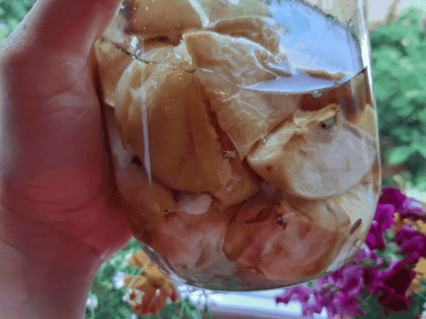 Домашня настойка на яблуках "Антонівка": 3 простих рецепти, як зробити напій смачнішим і ароматнішим, ділюсь з Вами