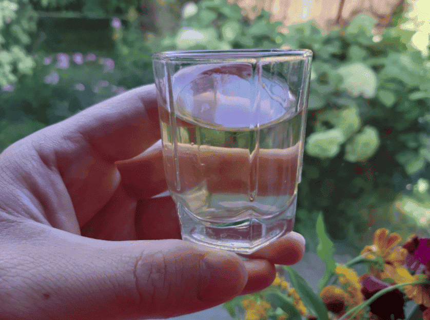 Домашня настойка на яблуках "Антонівка": 3 простих рецепти, як зробити напій смачнішим і ароматнішим, ділюсь з Вами