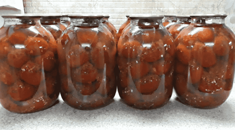 Screenshot 59 copy 0