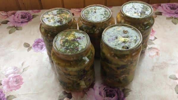 e21555a18cfed78cafdb8d6d92e8e229