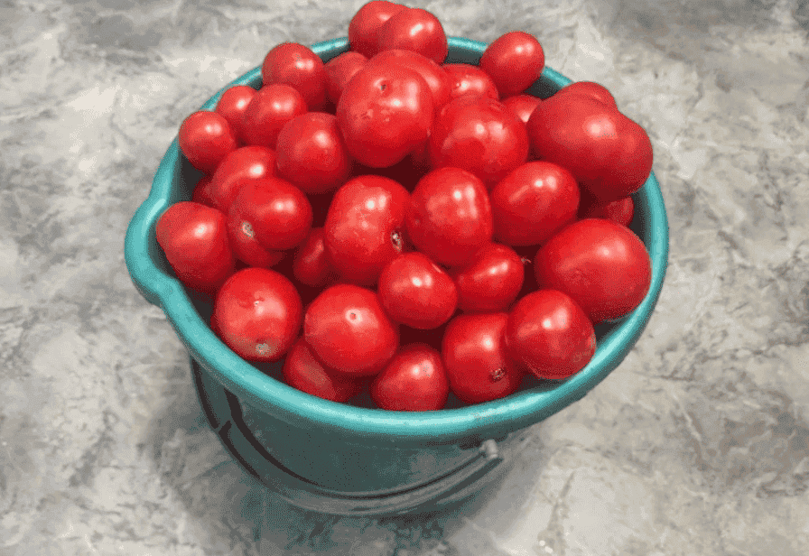 Домашній томатний сік на зиму: простий рецепт натурального соку без спецій, солі і цукру, а виходить в 100 раз смачніше магазинного