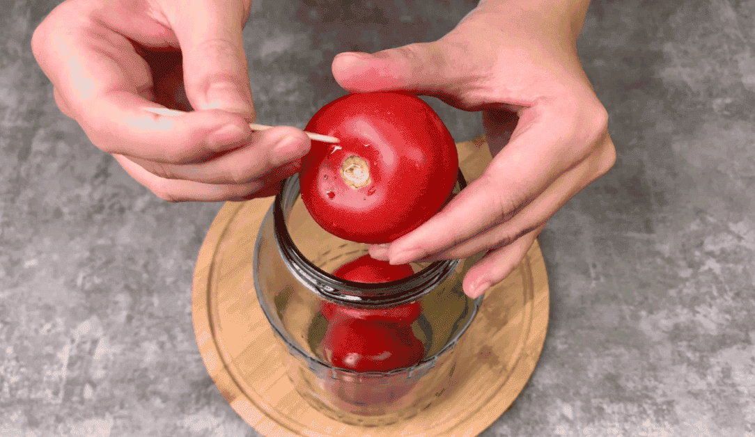 Помідори на зиму в яблучному соку без зайвих спецій: незвичайна, але дуже смачна заготовка, маринад завжди випивається першим