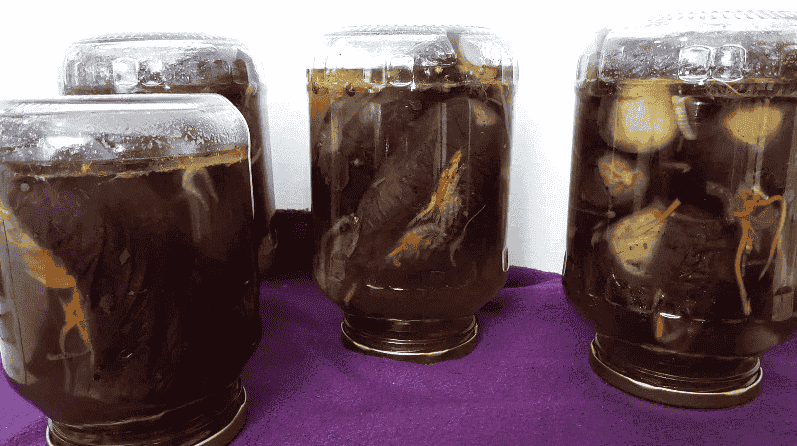 Фаршировані баклажани на зиму: покроковий рецепт приготування неймовірно смачної заготовки