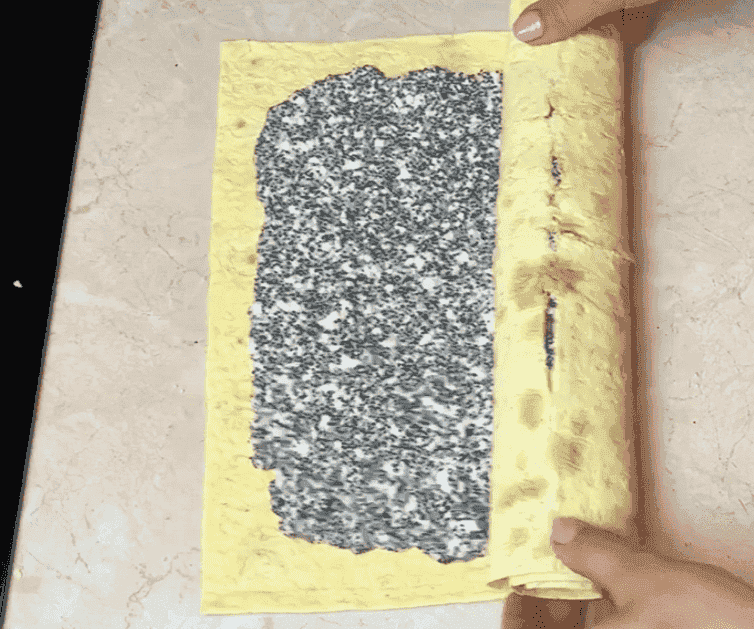 Найпростіший рулет із лаваша з сирною начинкою за 10 хвилин: виходить так смачно, що зникає зі столу миттєво