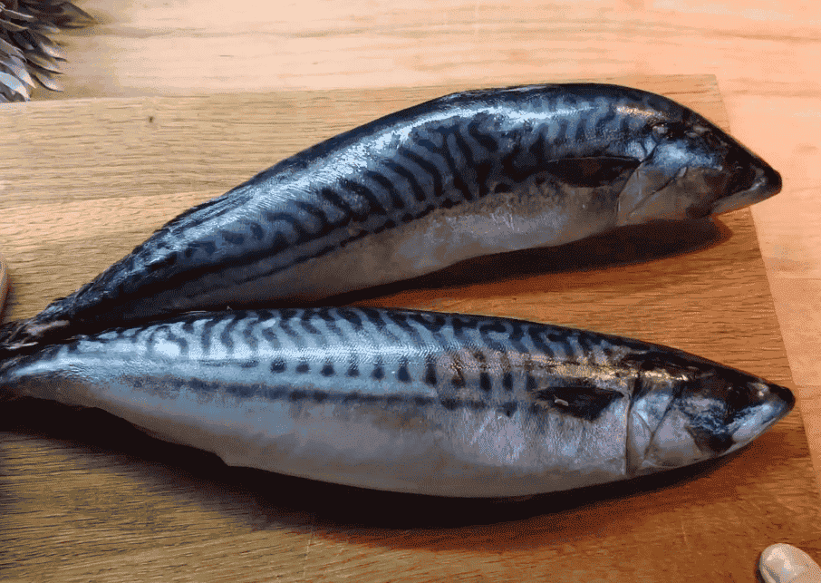 Дуже смачна малосольна скумбрія: цим рецептом поділилась зі мною сестра із Полтави. Готуємо "Сагудай зі скумбрії" в домашніх умовах