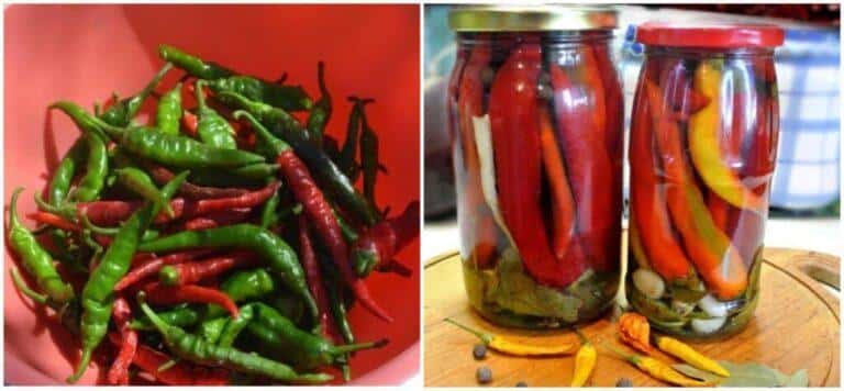 d509d5c17889ccfe668b62d7764da8f6