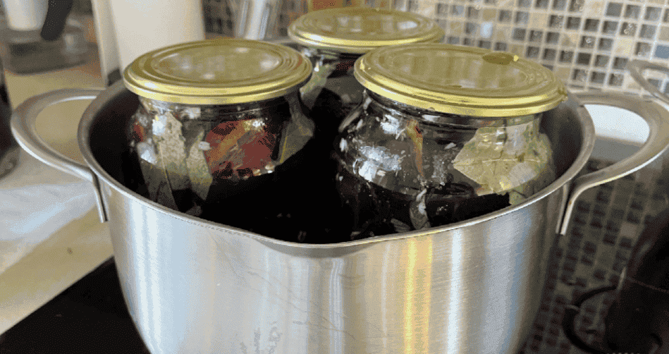 Пікантні фаршировані сливи на зиму з надзвичайно смачною начинкою: готуйте побільше баночок, щоб взимку не шкодувати, що мало зробили