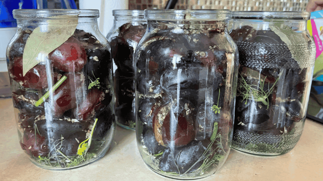 Пікантні фаршировані сливи на зиму з надзвичайно смачною начинкою: готуйте побільше баночок, щоб взимку не шкодувати, що мало зробили