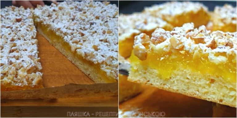 6337fae9cf2dd myco873