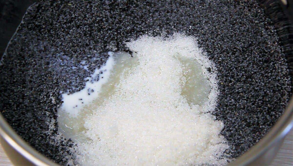 22f0152c912bbe857ca0c9a3f944a351