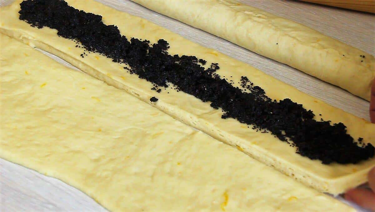 444f0a4cdf7a48edf71e29a899c6bb50