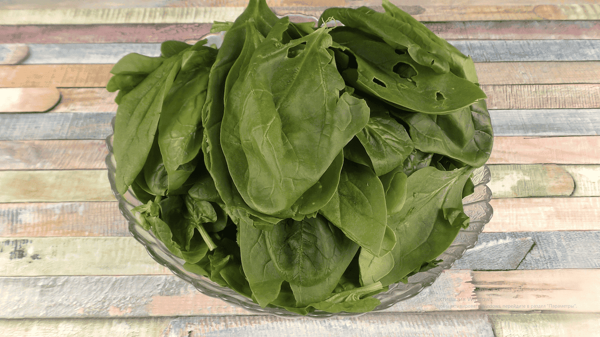 9e2048d07c2f5761cfe5a8c781809907