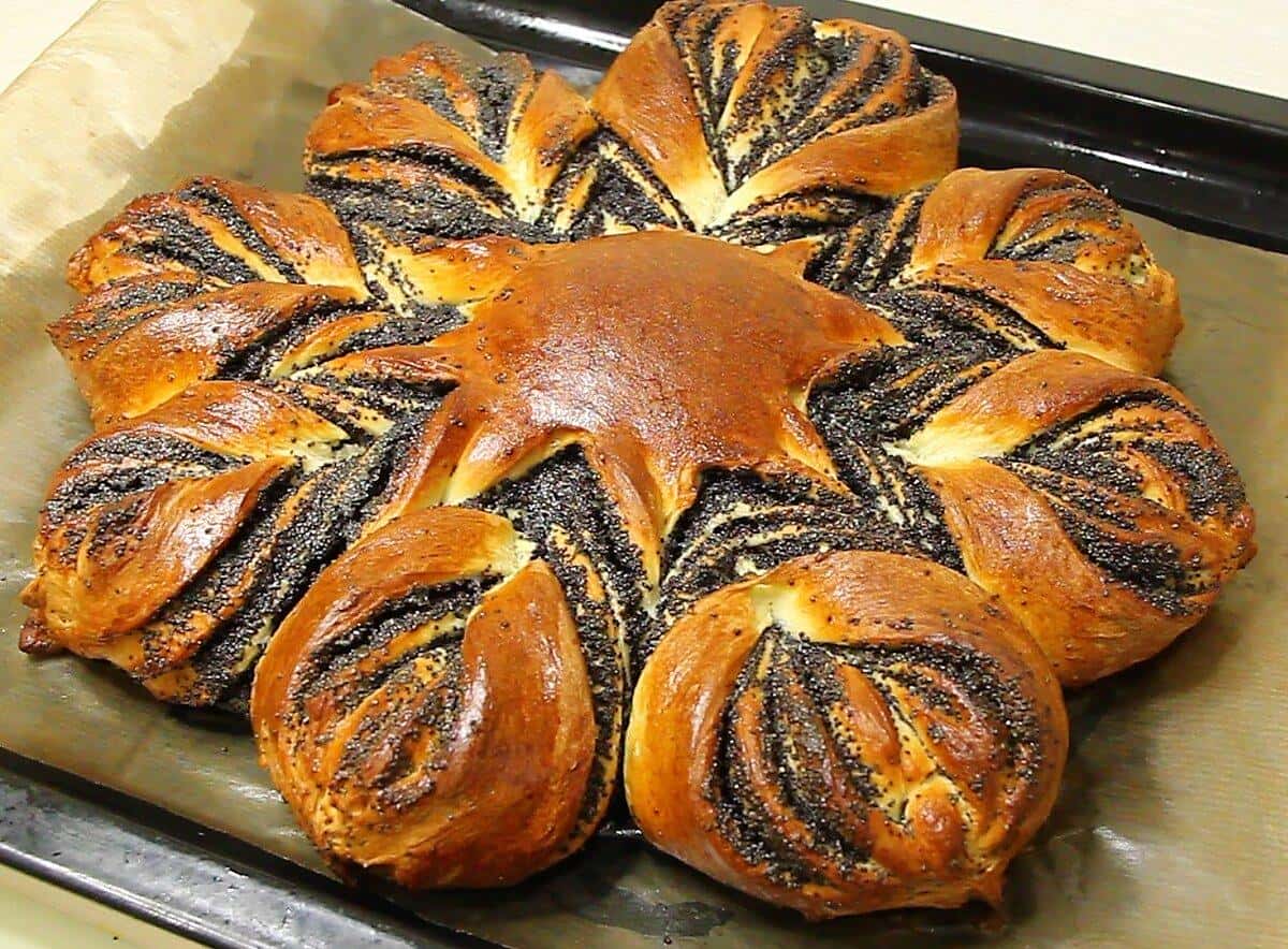 059a2fb67a5a4654ae45caec10cc6a91