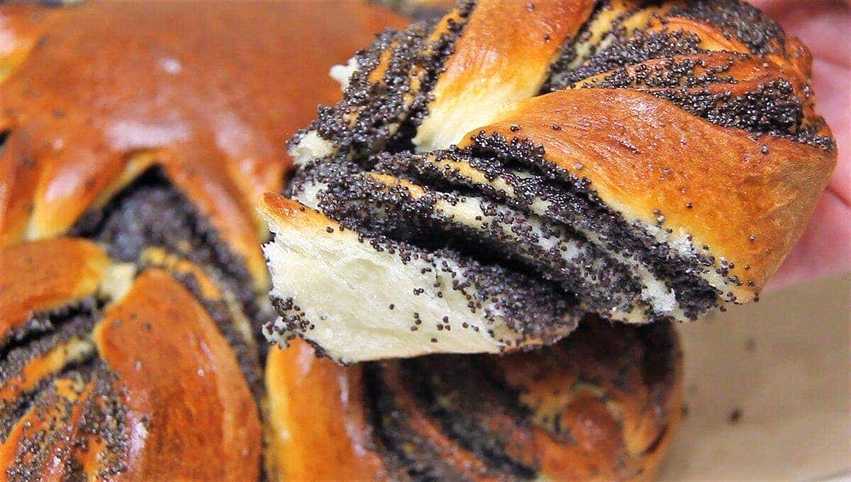 97a3e9b0fd1a2f196a7e03f1e247a93e