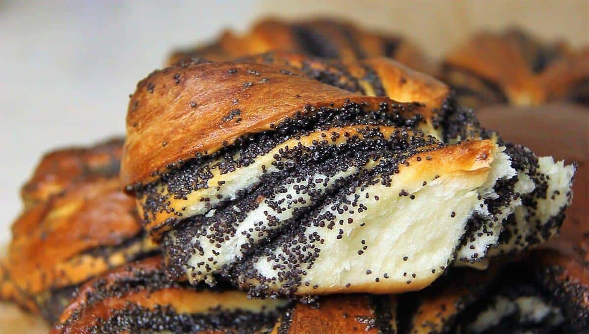 db3dbe26d3df5c79fc57338de8ca22af