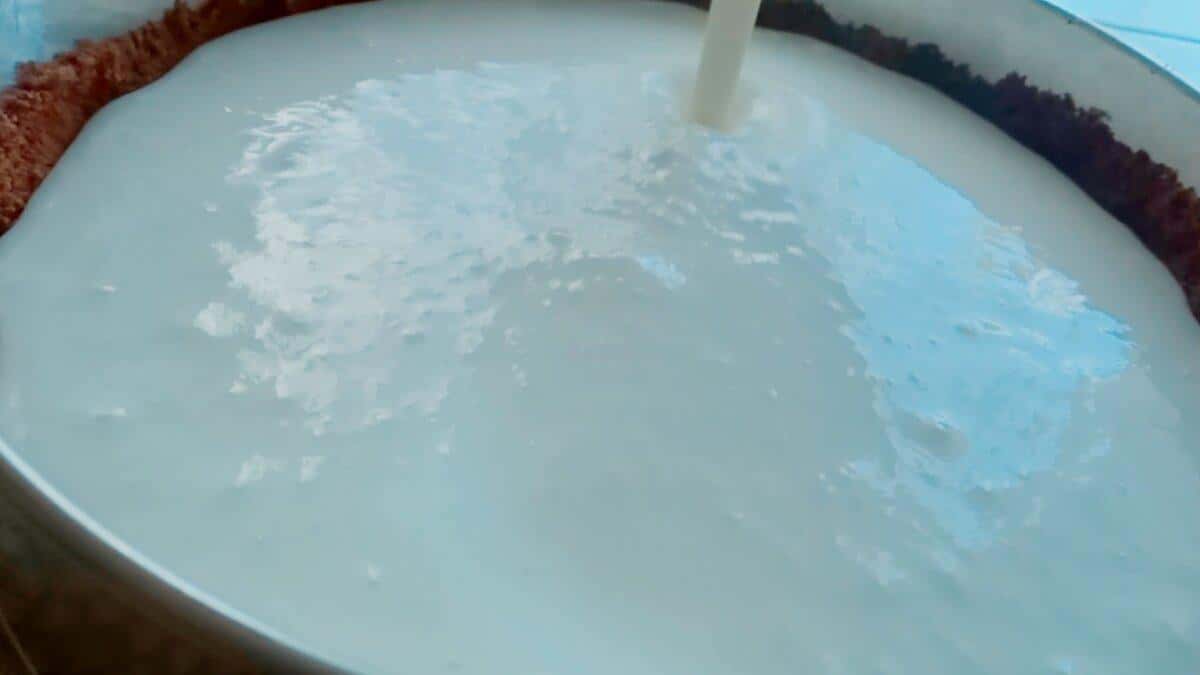 eedb9150f244b20cdeb69c4ce5950cea