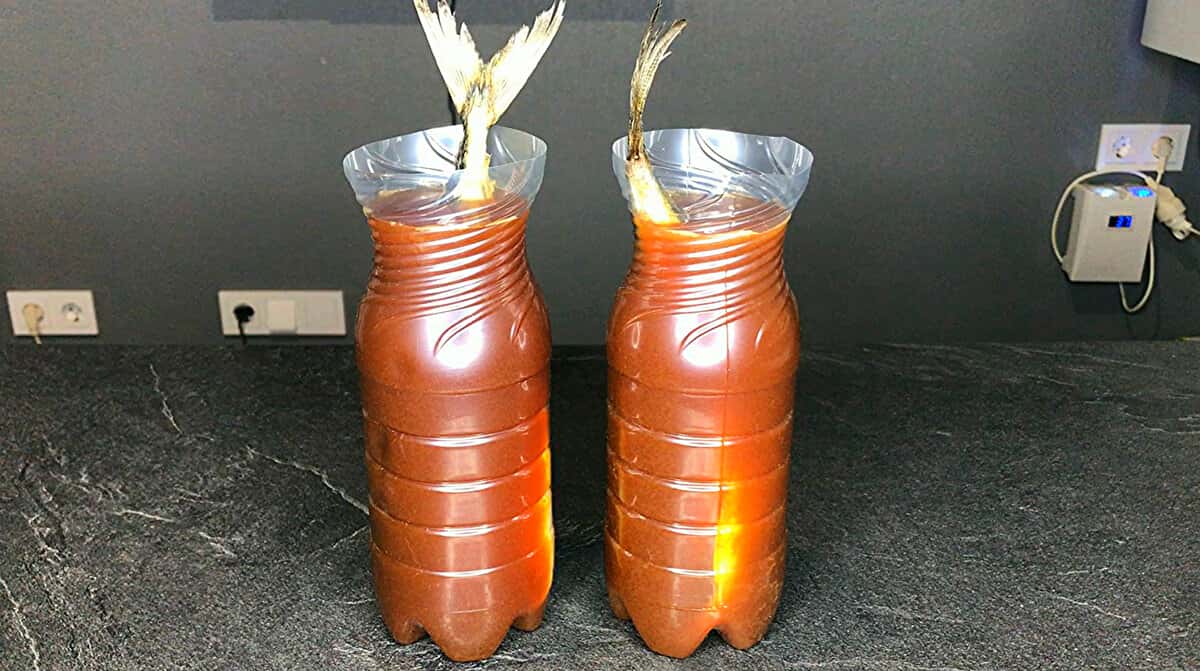 0721528c49af8a3bf322e685e52f81fc