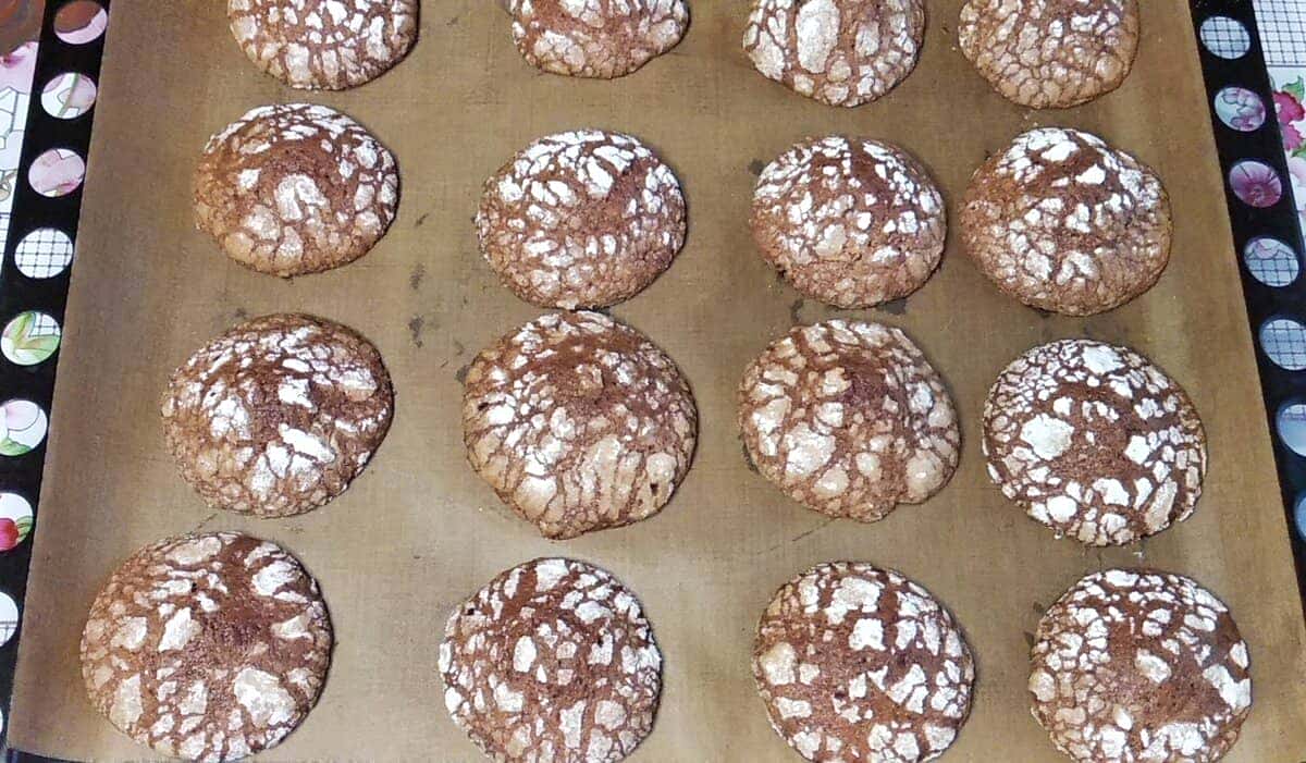 12c490ad7813ab6b5c03163816b25bcb