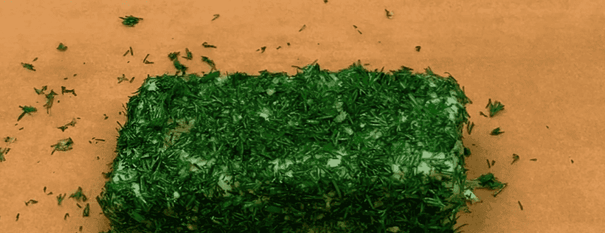 Беру сало та багато солі: сухий посол із 3 різними смаками: найніжніша закуска для будь-якого гурмана (закусочне сало на будь-який стіл)