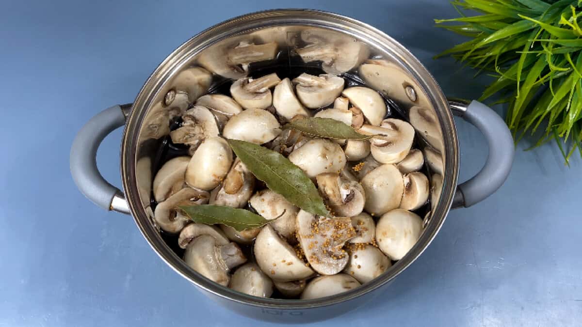 3643ccb6bfe1129582cfed2c949645d9