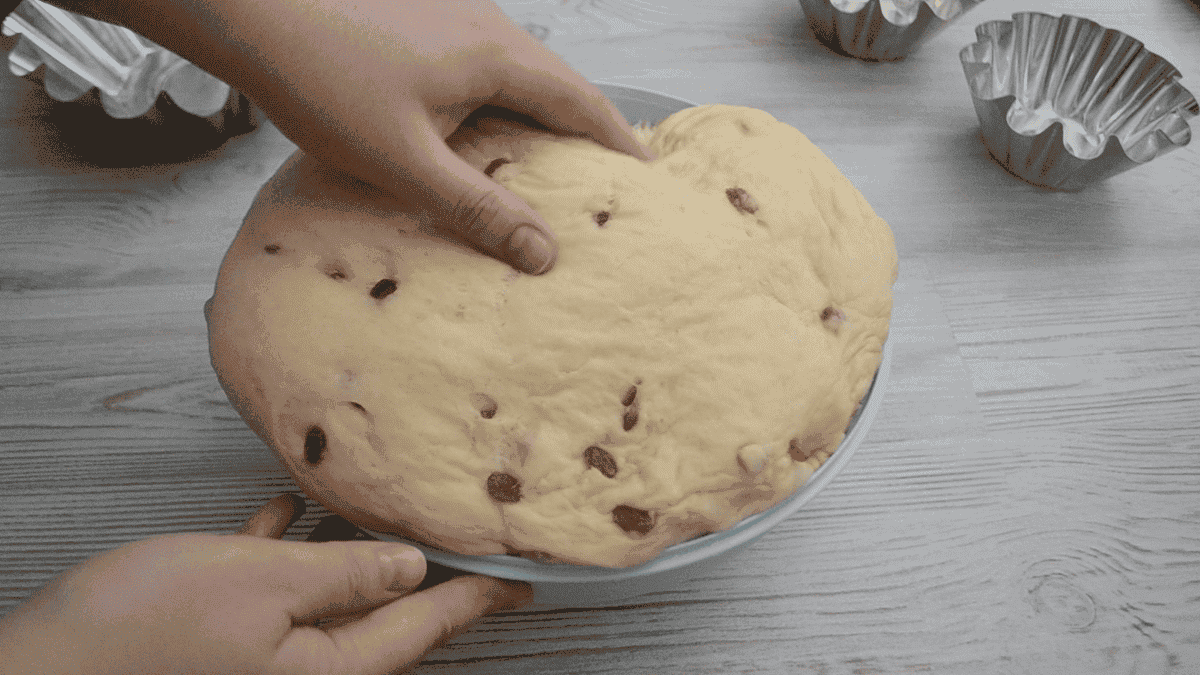 3ebd6ae072a53e0d8d746bc88e24c0fd