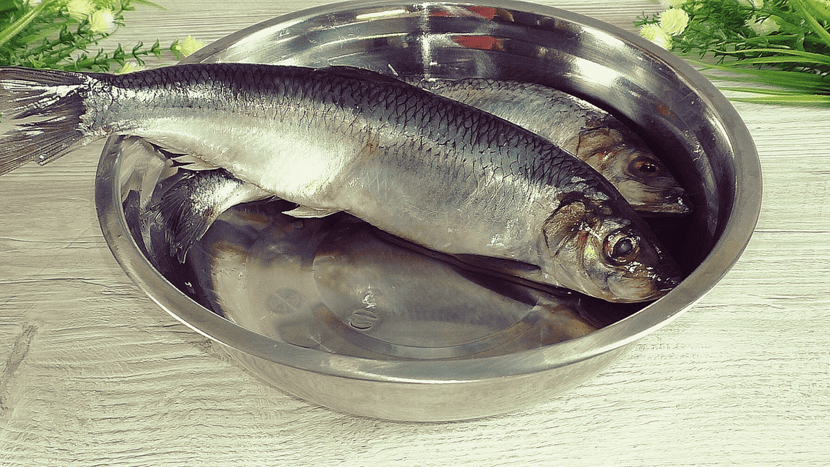 413006642076d454249580e58b28702a