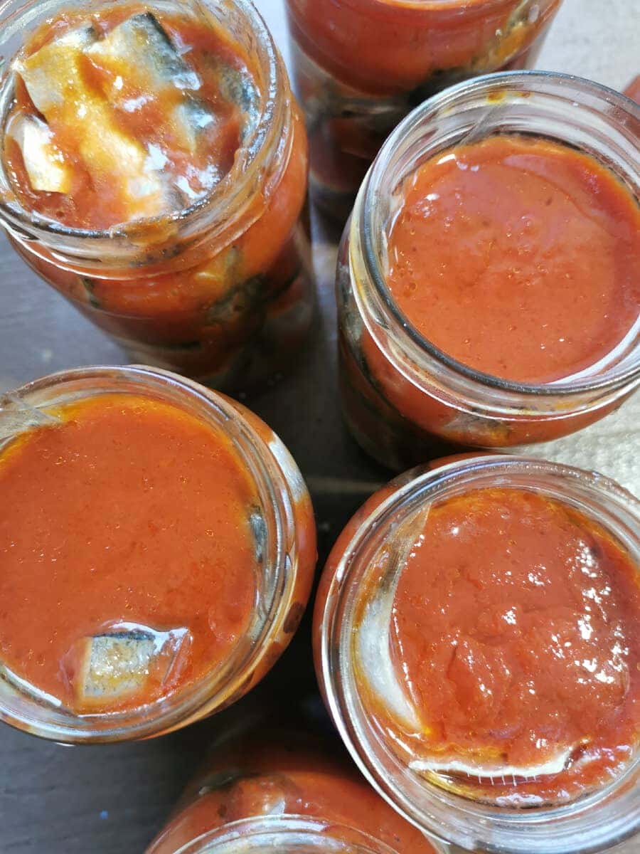 44995b3982707dc2b5426c2e7856509a