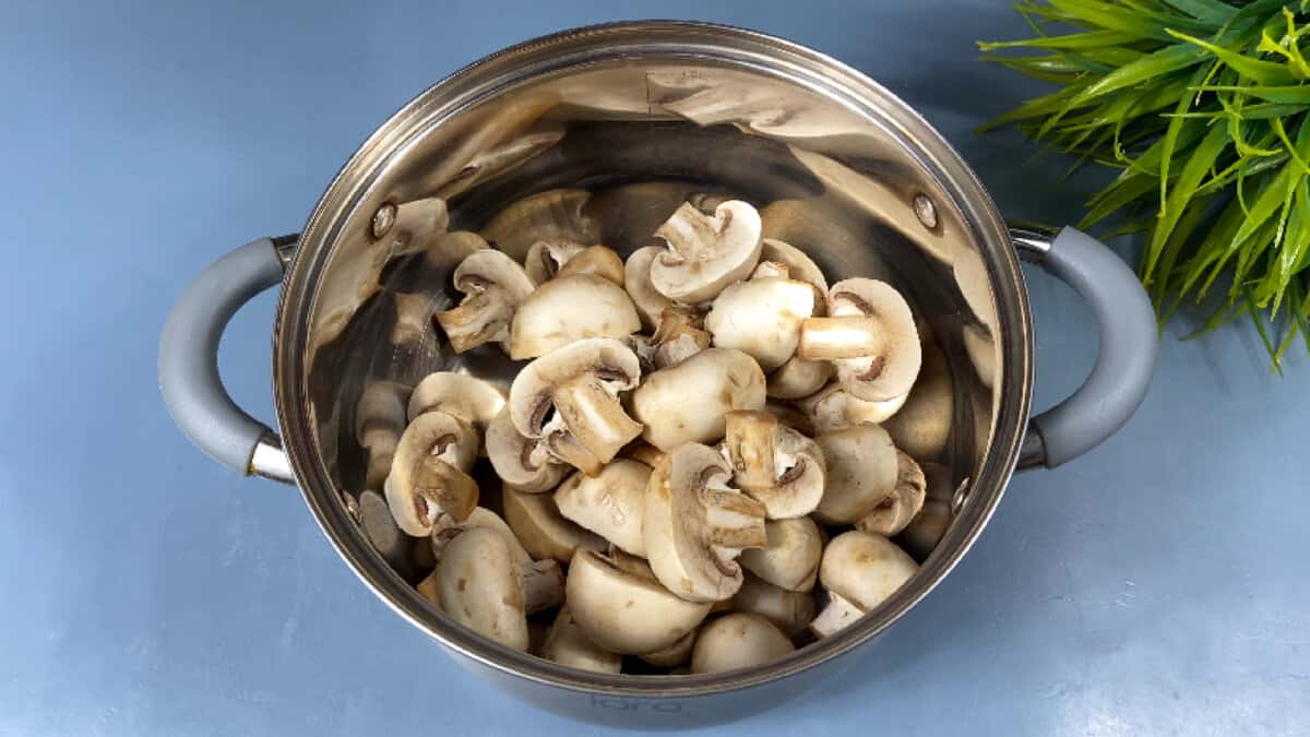 48a4b26beba1d45f0732d56d51b54436